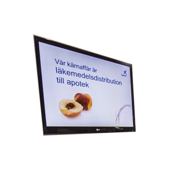 TV skärm 42"